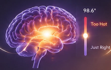 Illustration of the brain's temperature regulation, reading too hot